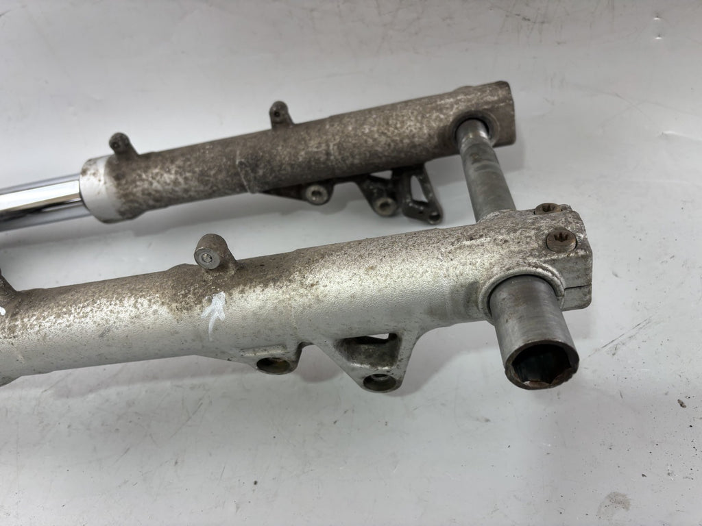 BMW F800 S Gabel Standrohr Tauchrohr Fork Asborber Federung Federbein Spring