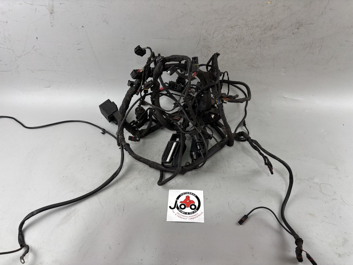 BMW F800 S Kabelbaum Kabelstrang Cable Stecker Electric