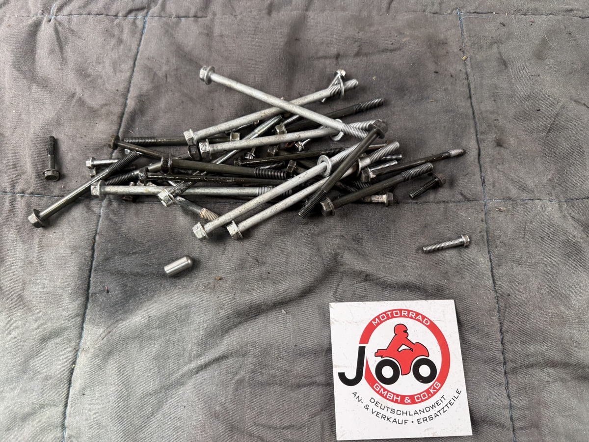 Kawasaki EL250 252 Eliminator Screws Schrauben Reste Motor Engine