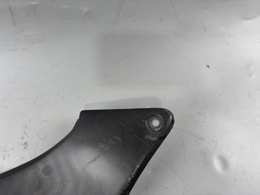 Honda CB 600 F Hornet PC34 Seitenverkleidung Sidecover Abdeckung rechts right