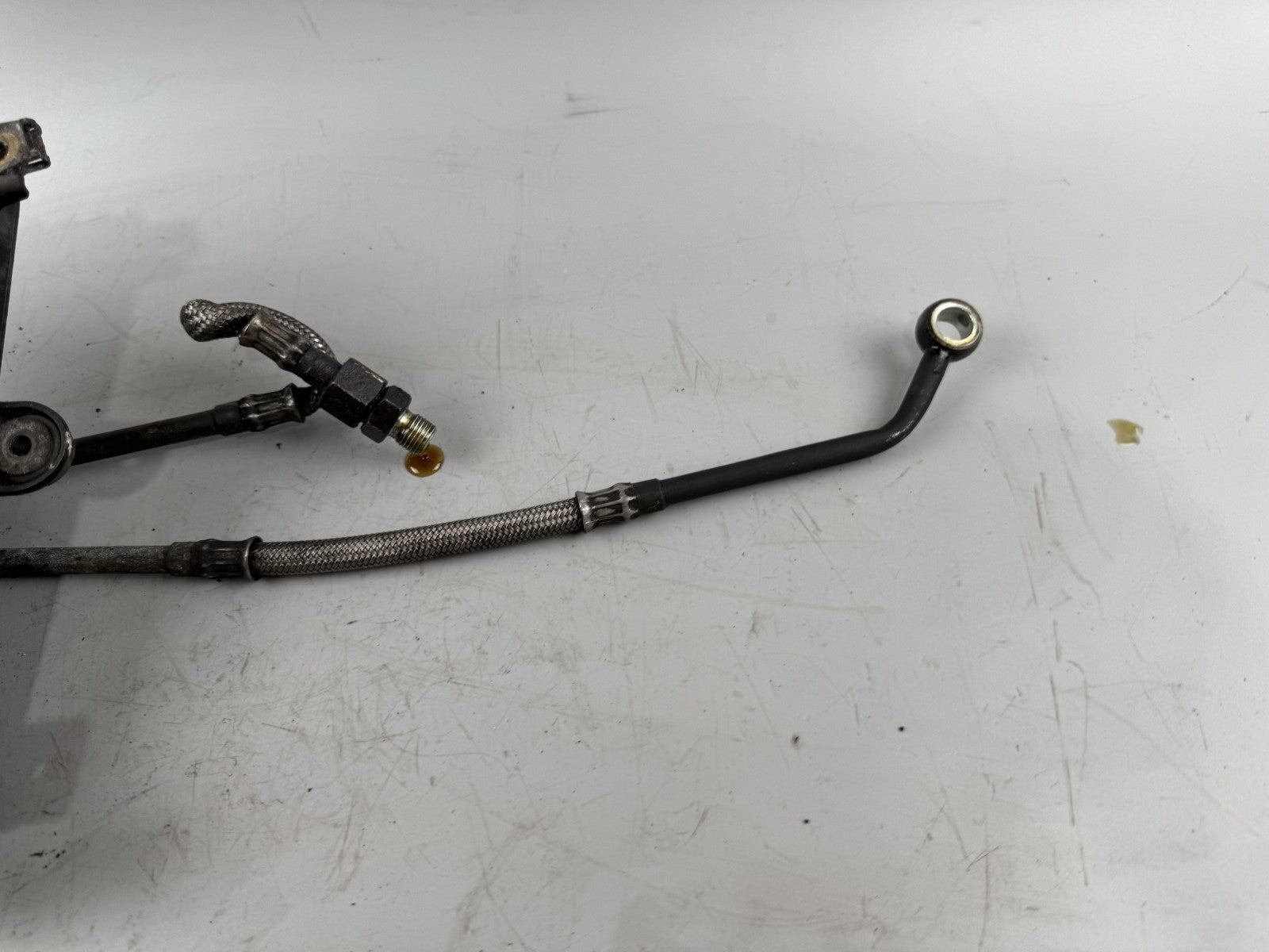 Triumph Daytona 1200 T300D Ölkühler Cooler Oil Liquid