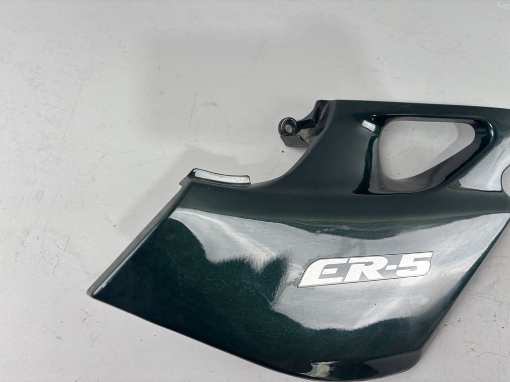 Kawasaki ER 5 EX500A Seitendeckel Sidecover Seitenteil Verkleidung rechts right