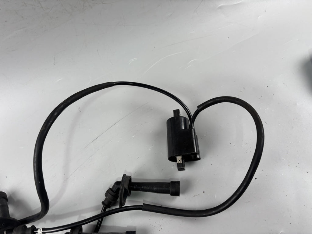 Suzuki GSF600 GN77B Zündspulen Zündspule Zündkabel Zündstecker Ignition