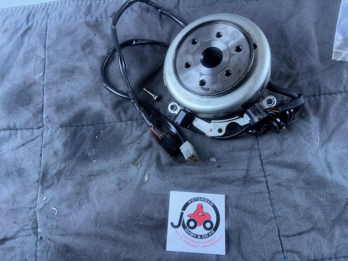 Yamaha XV535 3BR 2YL Polrad Lichtmaschine Generator Stator Magnet Engine Motor