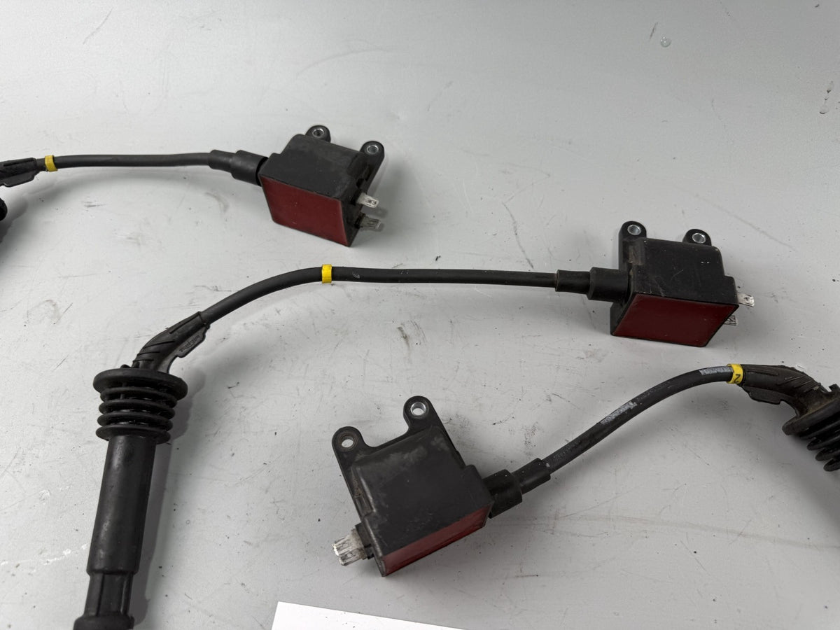 Triumph Speed Triple 900 T300B Zündspule Zündstecker Zündkabel Ignition