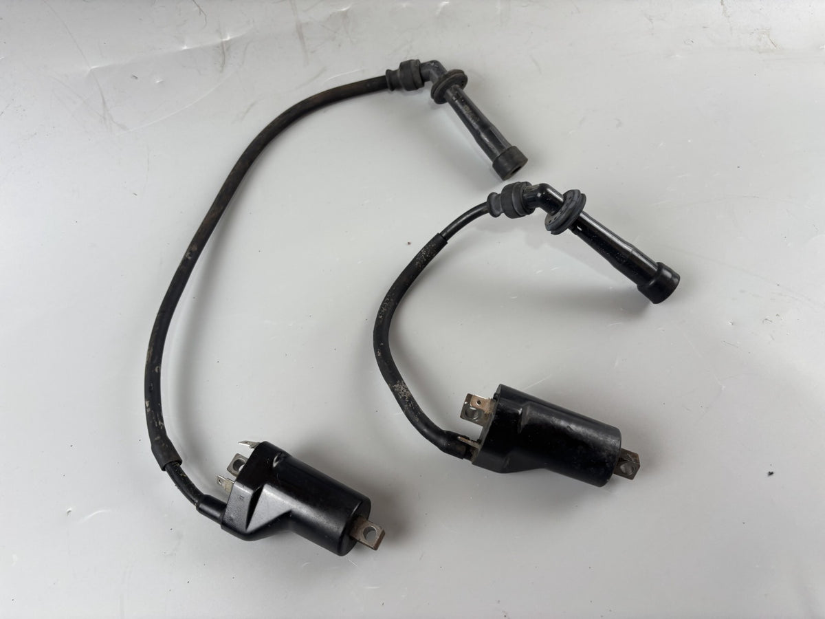 Suzuki SV650 N AV Zündspulen Zündspule Ignition Zündkabel Zündstecker