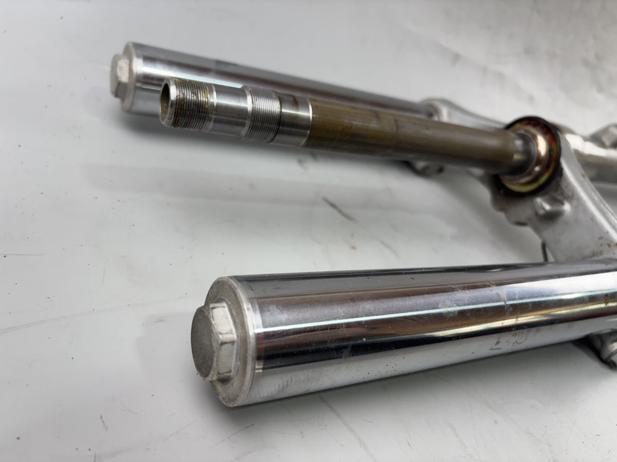 Suzuki GSX750 AE Inazuma Gabel Standrohr Tauchrohr Fork Absorber shoks
