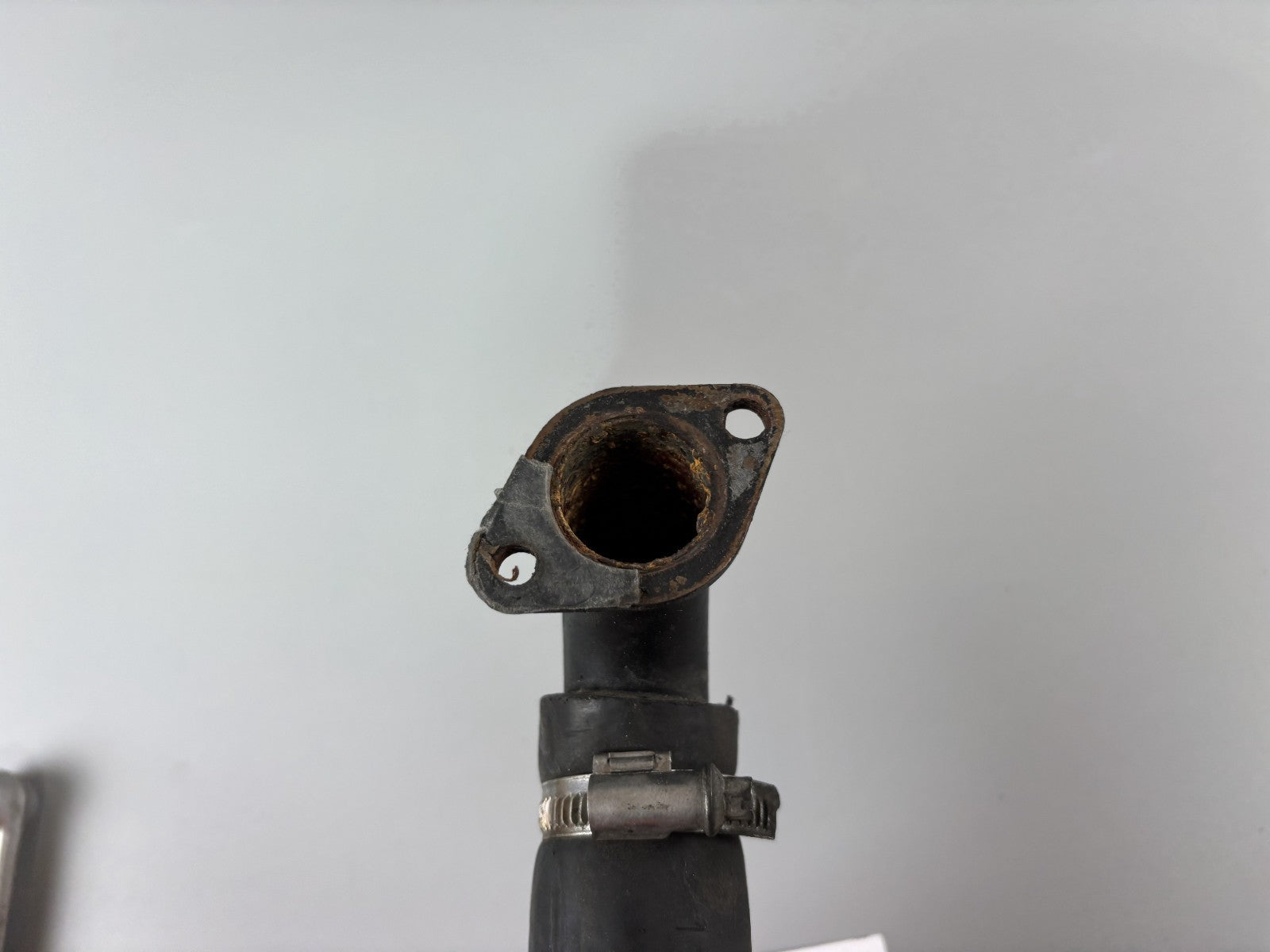 Triumph Daytona 955 T 595 Kühlerschlauch Cooler Pipeline Leitung