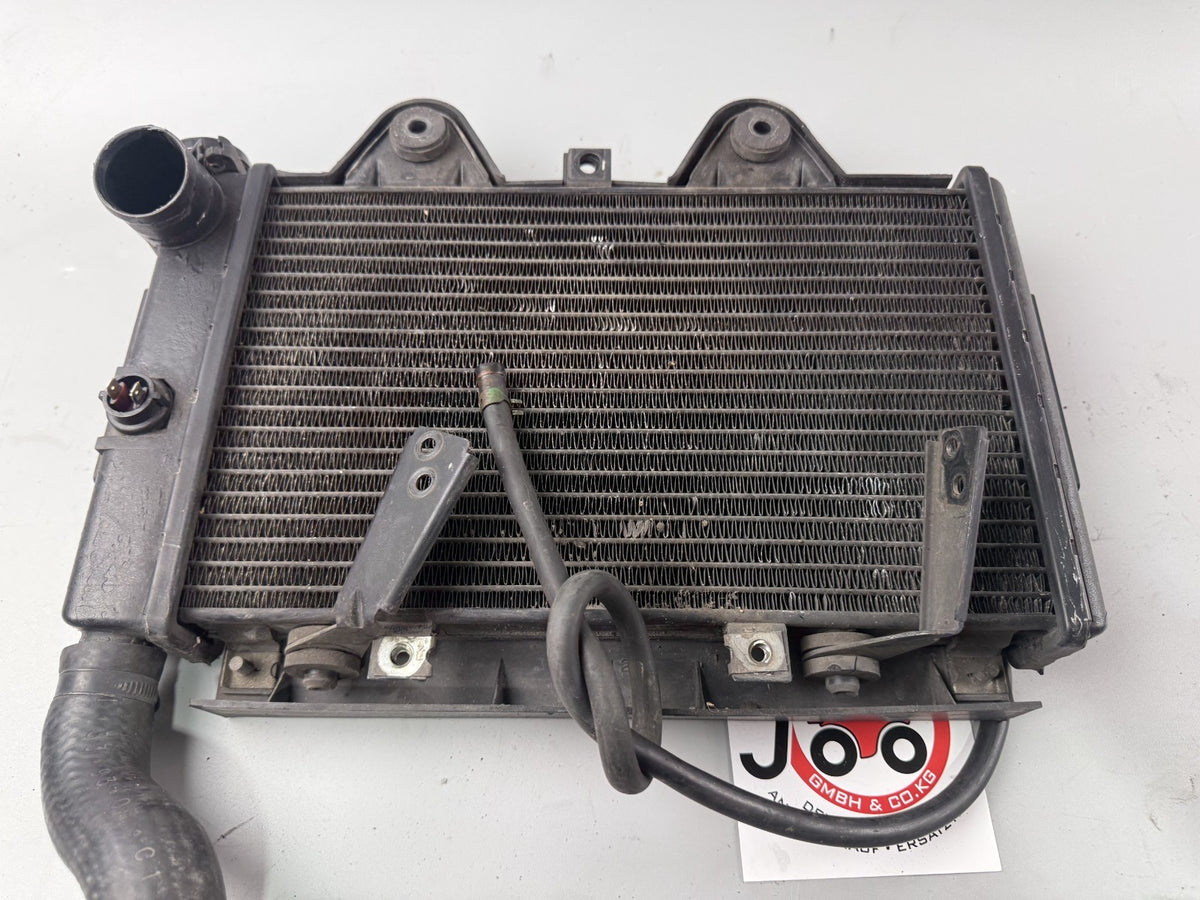 Triumph Tiger 900 T400 Wasserkühler Watercooler Liquid Engine Motor Kühlung