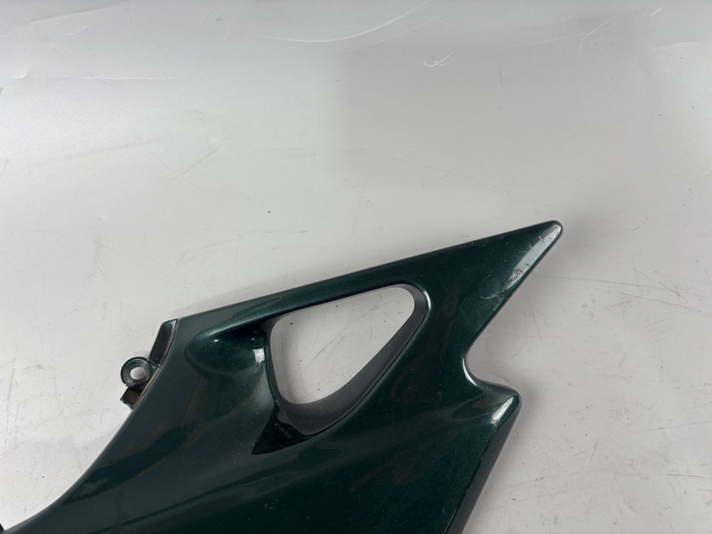 Kawasaki ER 5 EX500A Seitendeckel Sidecover Seitenteil Verkleidung rechts right