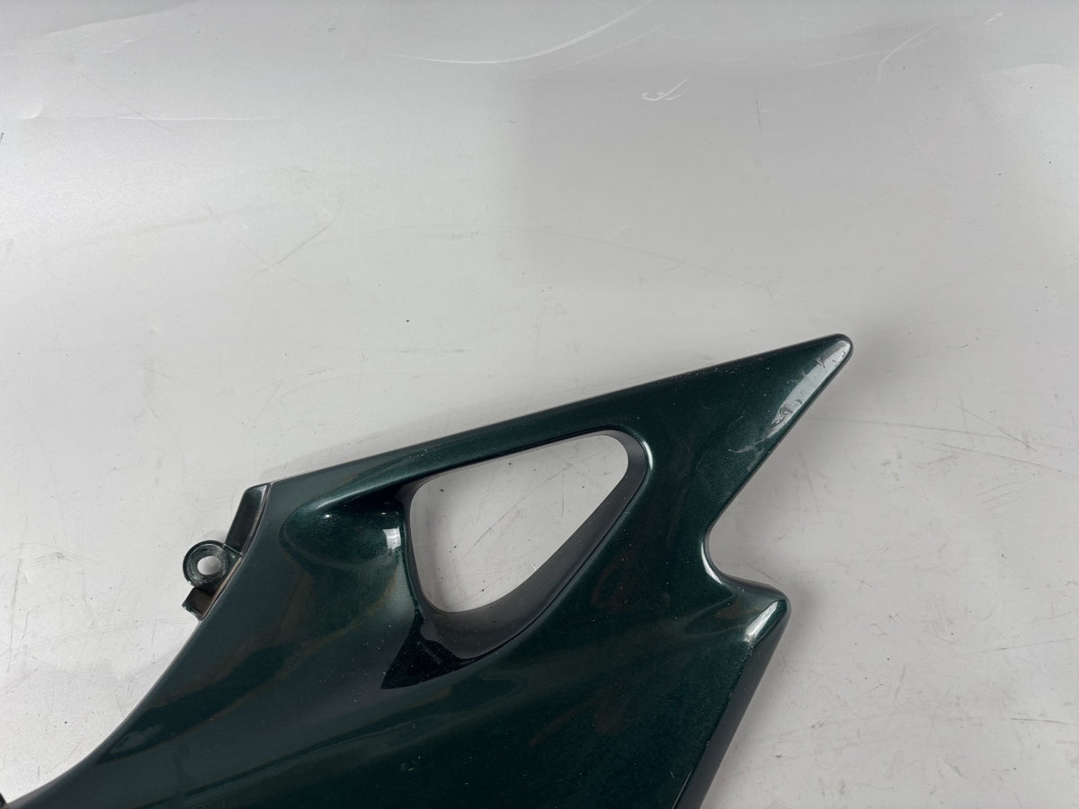 Kawasaki ER 5 EX500A Seitendeckel Sidecover Seitenteil Verkleidung rechts right