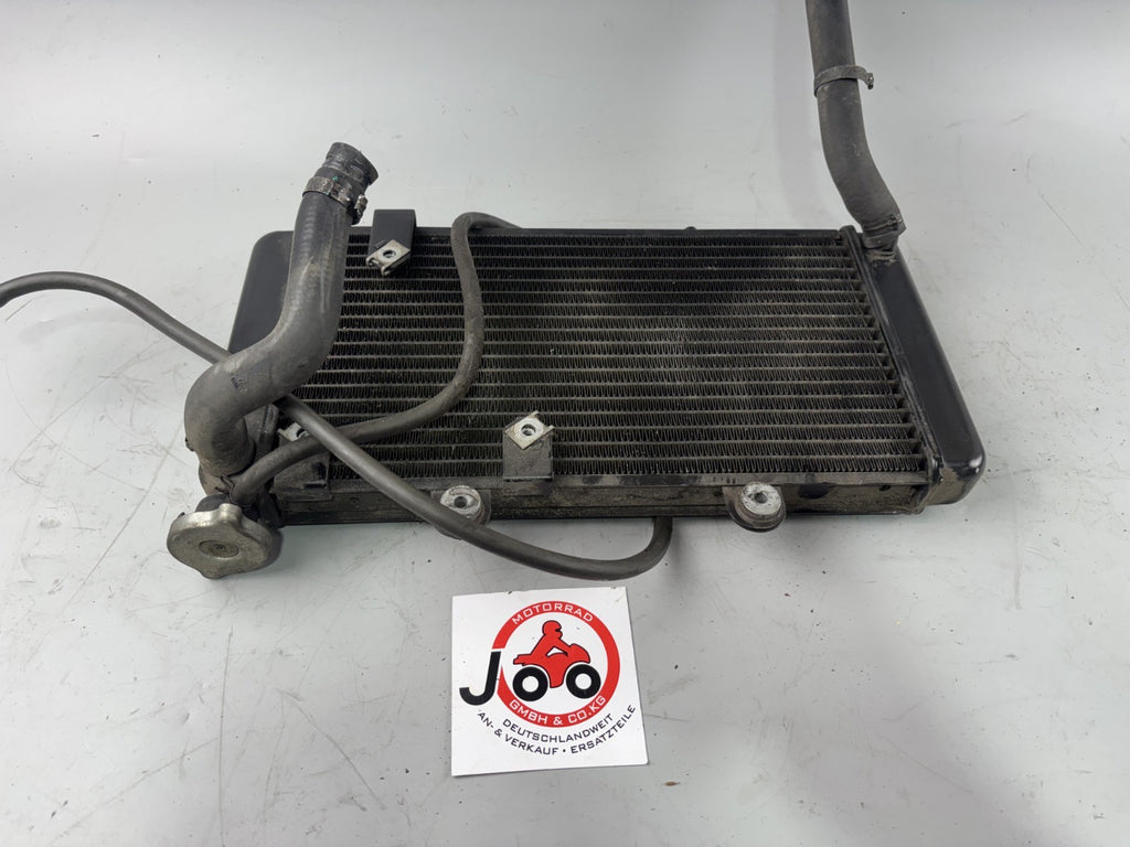 BMW F650 169 Kühler Cooler Liquid Wasserkühler Watercooler Motor Engine