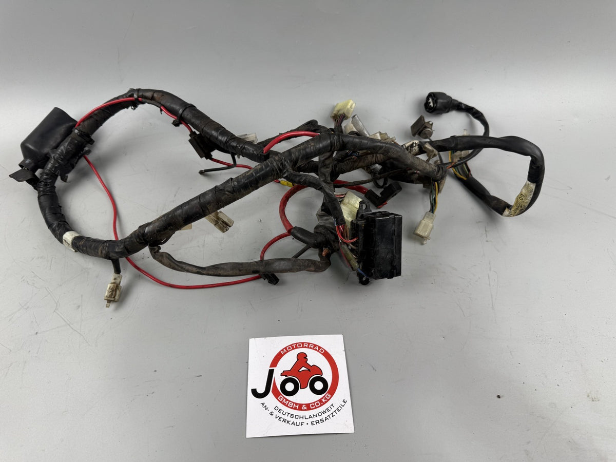 Yamaha XJ600 Diversion 4BR 4LX Kabelbaum Cable Stecker Electric