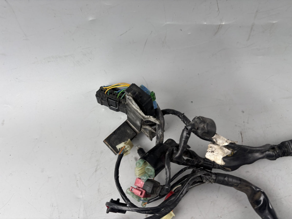 Honda SLR 650 Vigor FX 650 RD09 Kabelbaum Kabelstrang Electric Stecker