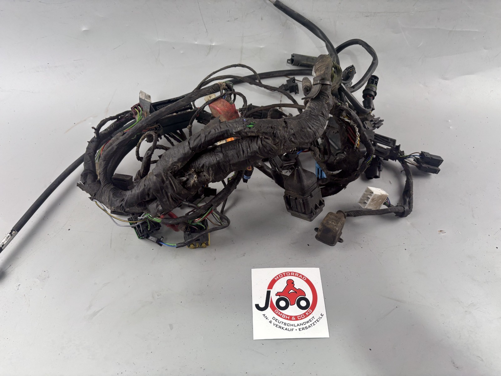 BMW F 650 CS Scarver Kabelbaum Cable Stecker Electric Kabelstrang