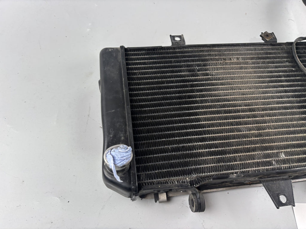 Kawasaki ZRX1100 ZRT10C Wasserkühler Watercooler Engine Liquid Kühlung