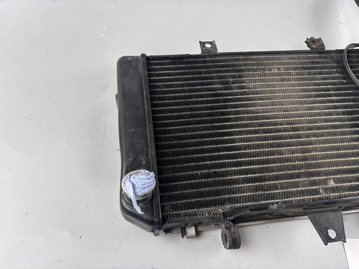 Kawasaki ZRX1100 ZRT10C Wasserkühler Watercooler Engine Liquid Kühlung