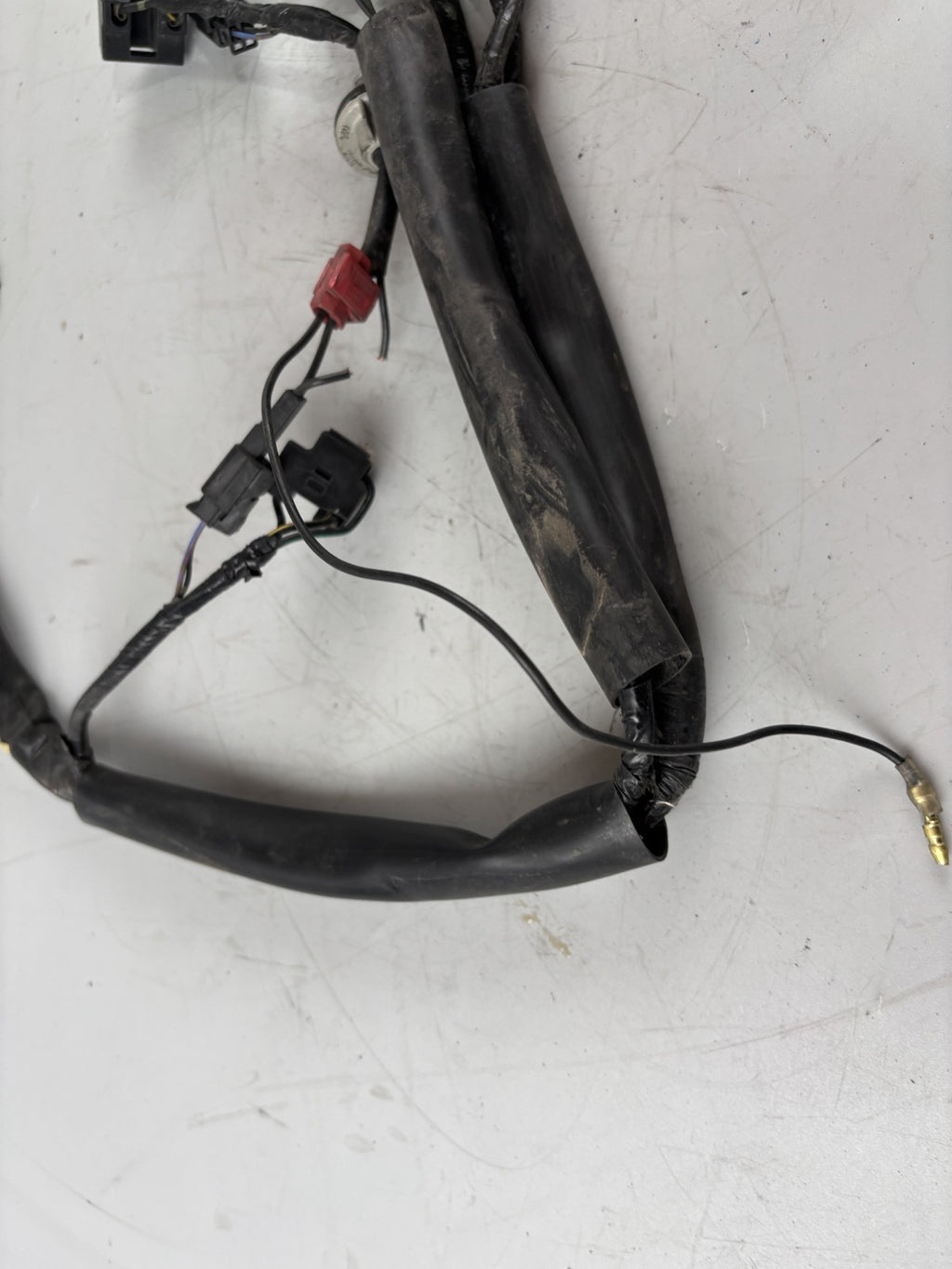 Yamaha FZS600 Fazer RJ02 Kabelbaum Cable Electric Stecker vorne front
