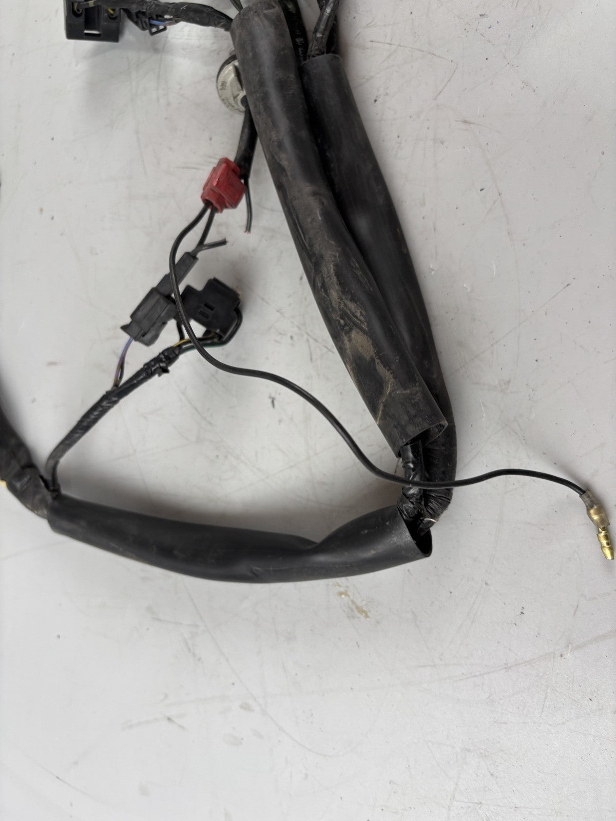 Yamaha FZS600 Fazer RJ02 Kabelbaum Cable Electric Stecker vorne front