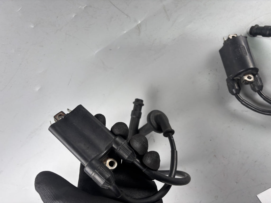 Honda CB 600 F Hornet PC34 Zündspule Zündkabel Zündstecker Ignition Electric