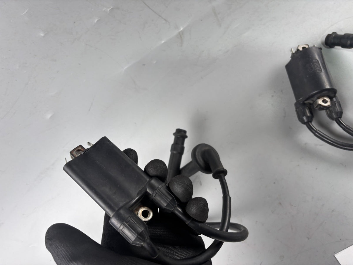 Honda CB 600 F Hornet PC34 Zündspule Zündkabel Zündstecker Ignition Electric