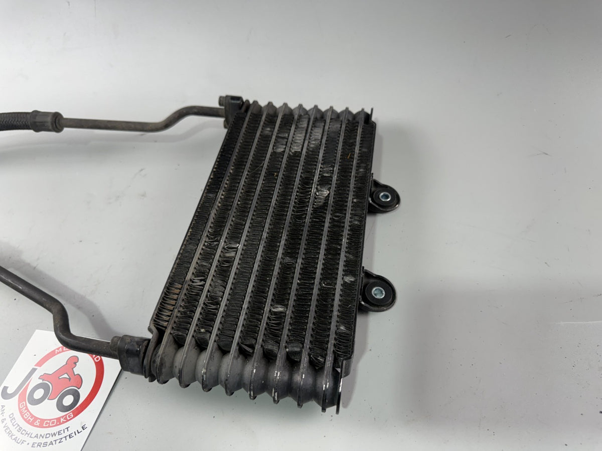 Suzuki GSF600 GN77B Bandit Kühler Ölkühler Cooler Liquid Oel Motor Engine