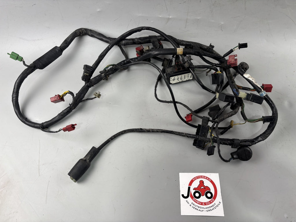 Honda CBR 1000F SC24 Kabelstrang Kabelbaum Cable Stecker Electric