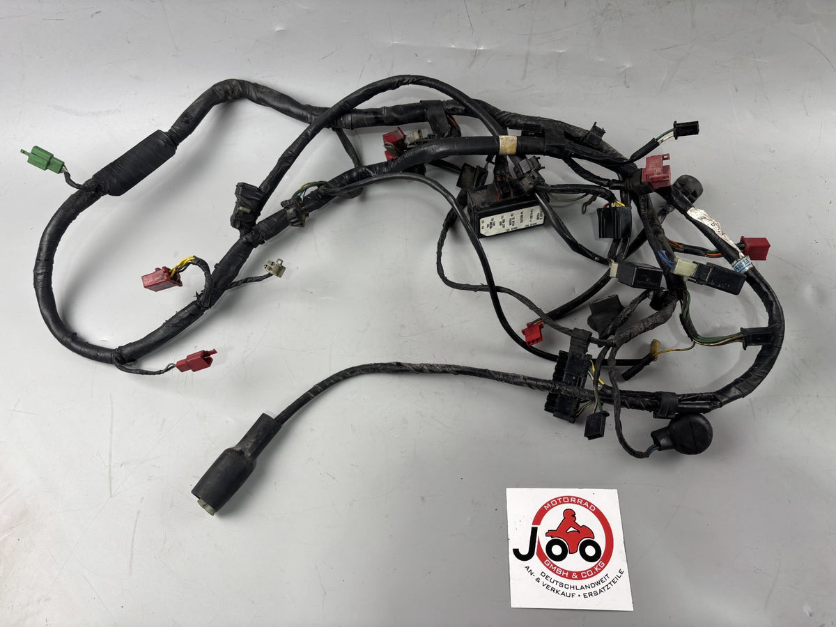 Honda CBR 1000F SC24 Kabelstrang Kabelbaum Cable Stecker Electric