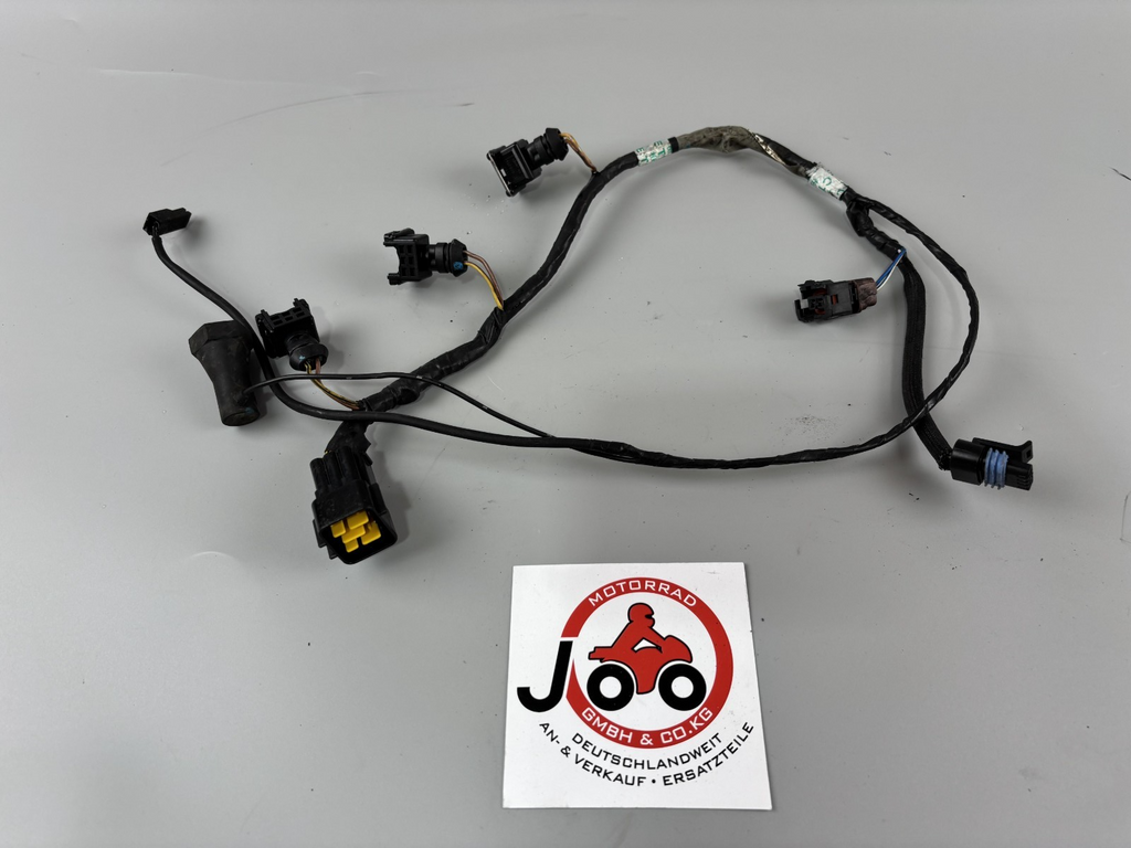 Triumph Daytona 955i T595 N 2002 Kabelbaum Motor Engine Cable Stecker