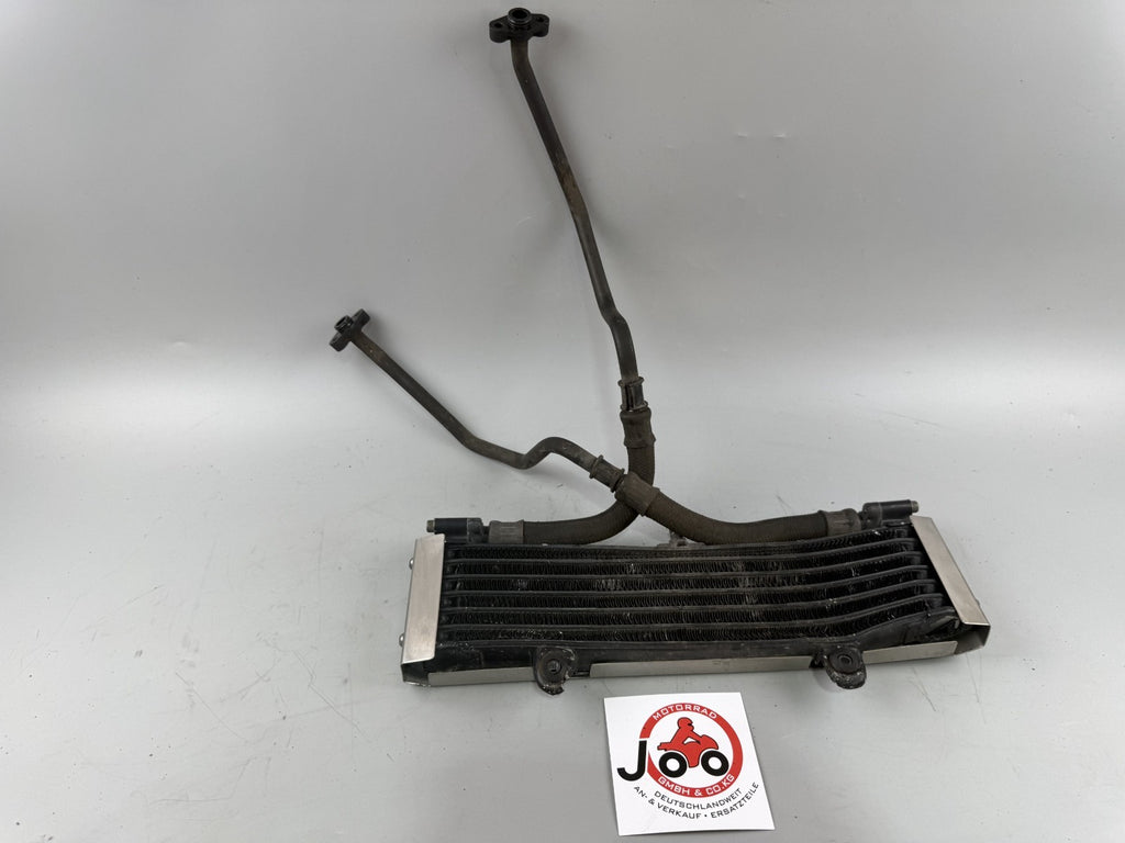 Yamaha XJR1300 RP02 Kühler Cooler Oilcooler Ölkühler Engine