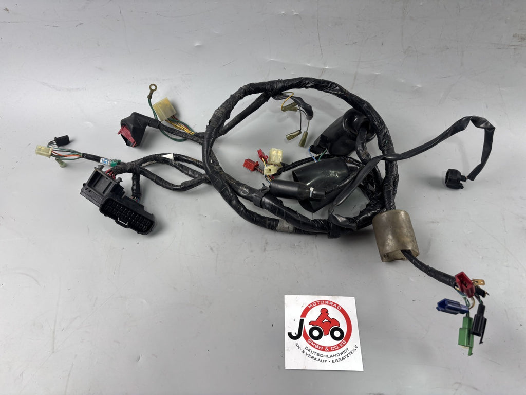 Honda CB 600 F Hornet PC34 Kabelbaum Cable Stecker Kabelstrang