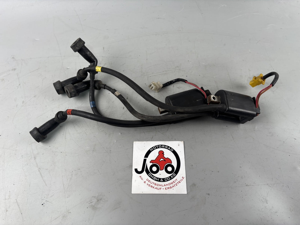 Yamaha FJ1200 3CW 3YA Zündspulen Zündstecker Zündkabel Ignition Electric