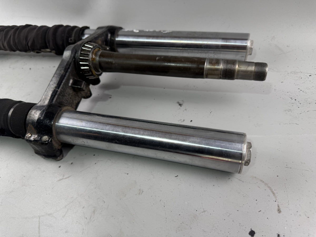 Triumph Tiger 900 T400 Gabel Standrohr Tauchrohr Fork Absorber Absorber Federung