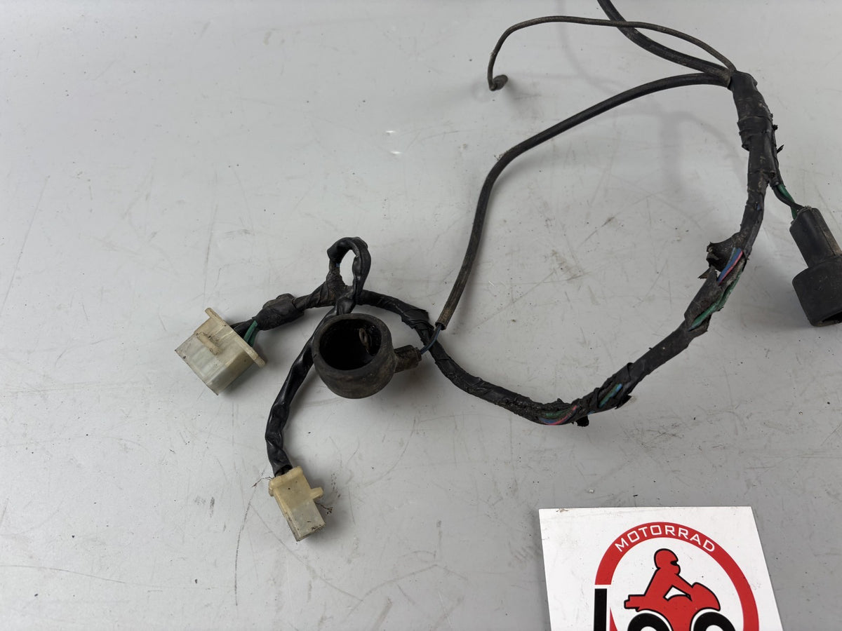 Honda GL1 GL1000 Goldwing Kabelbaum Kabelstrang klein Electric Stecker