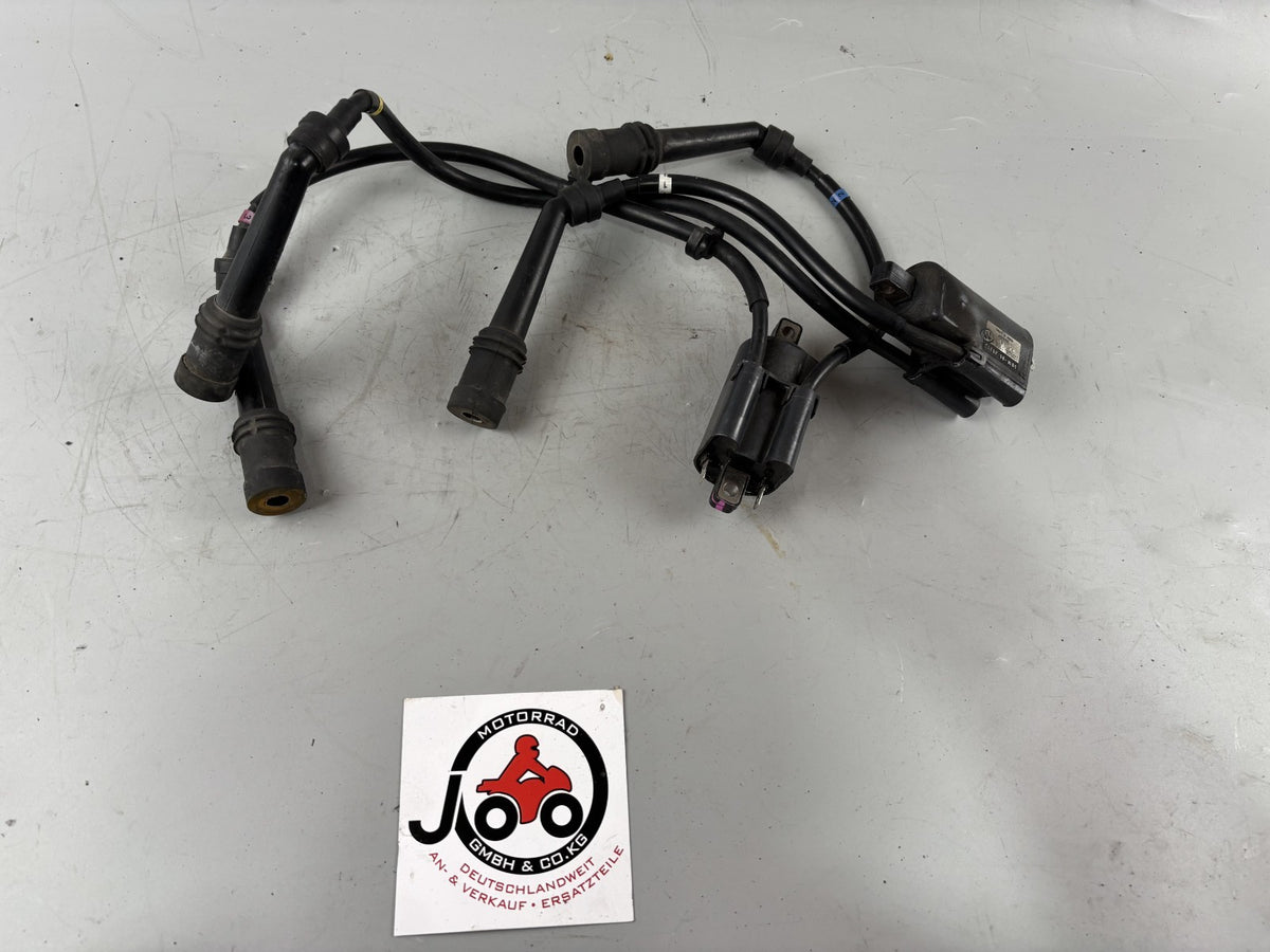 Yamaha FZS600 Fazer RJ02 Zündspule Zündstecker Zündkabel Ignition