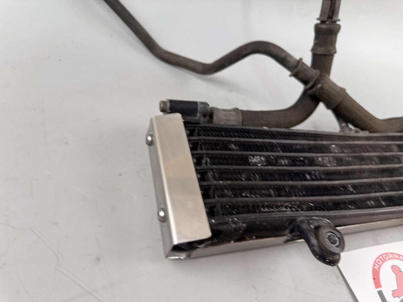 Yamaha XJR1300 RP02 Kühler Cooler Oilcooler Ölkühler Engine