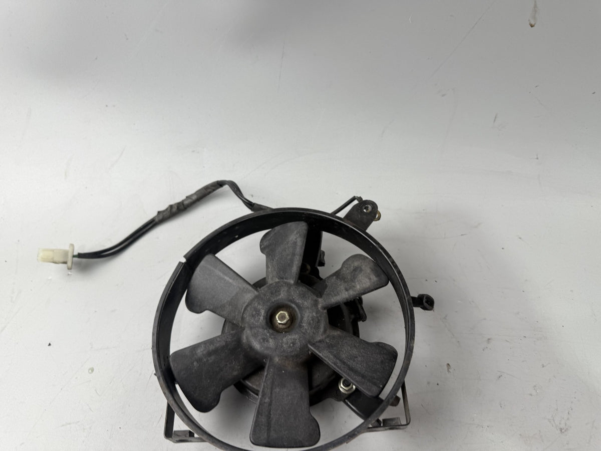 Honda XL600 R Transalp PD 06 Wasserkühler Watercooler Lüfter lüftung Ventilator