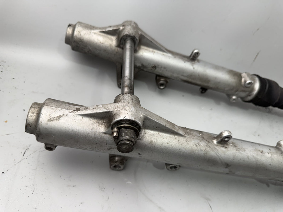 Triumph Tiger 900 T400 Gabel Standrohr Tauchrohr Fork Absorber Absorber Federung