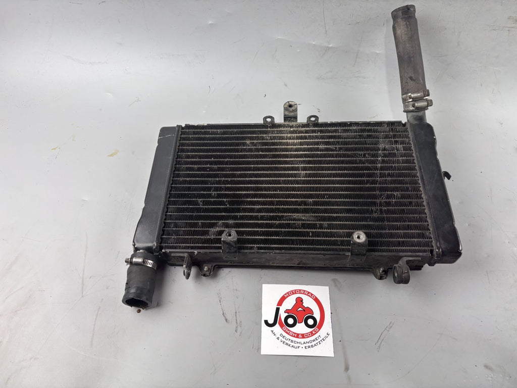 Honda CBR 1000F SC24 Wasserkühler Watercooler Liquid Motor Engine