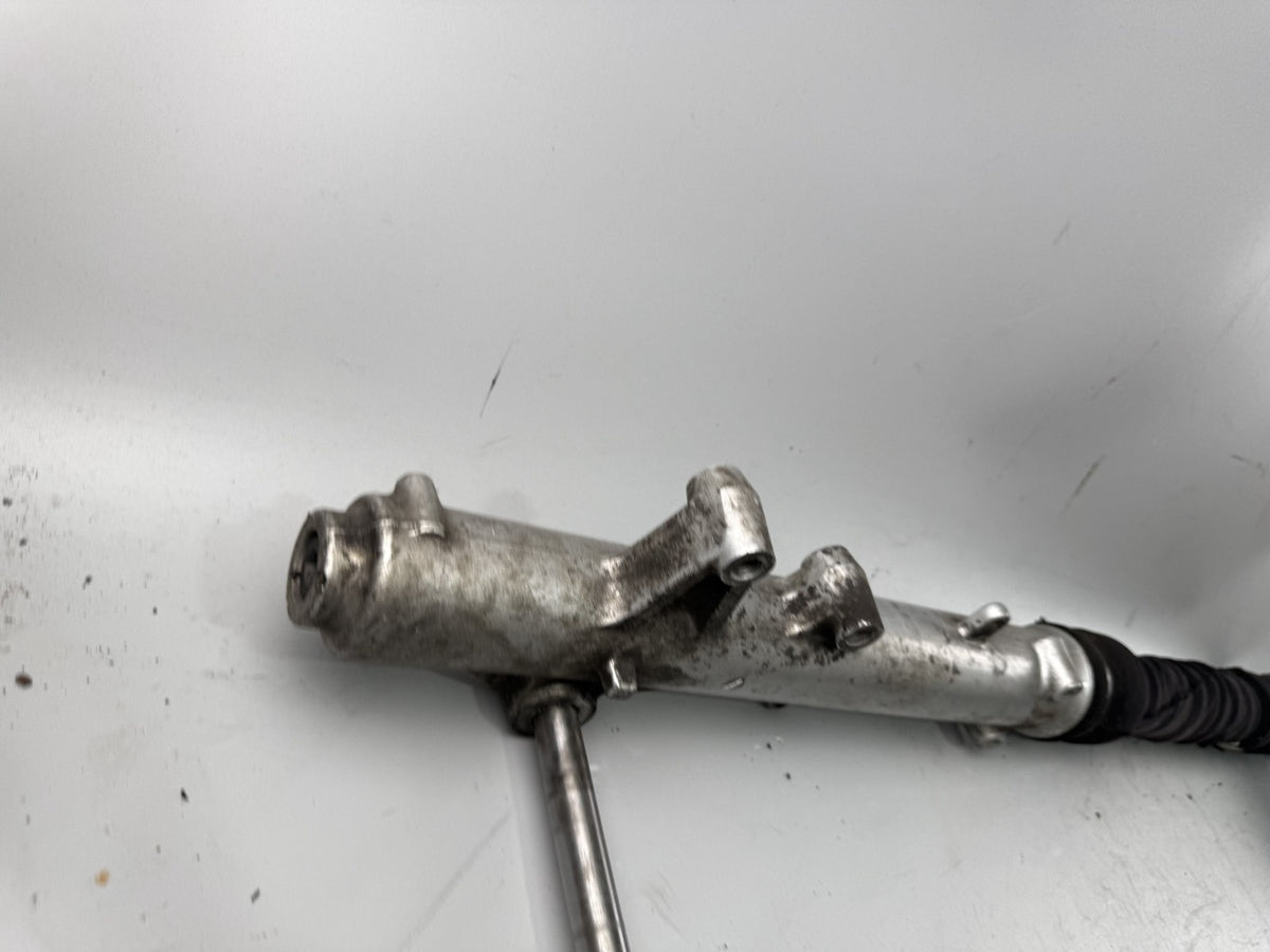 Triumph Tiger 900 T400 Gabel Standrohr Tauchrohr Fork Absorber Absorber Federung
