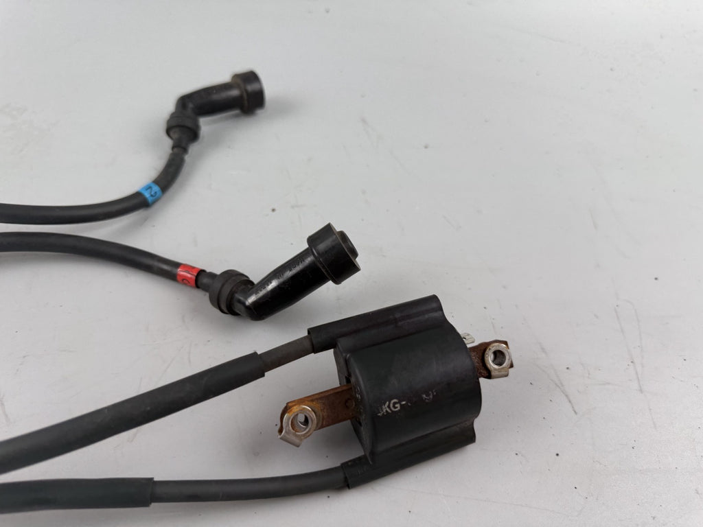 Yamaha XJR1300 RP02 Zündspulen Zündung Ignition Zündstecker Zündkabel