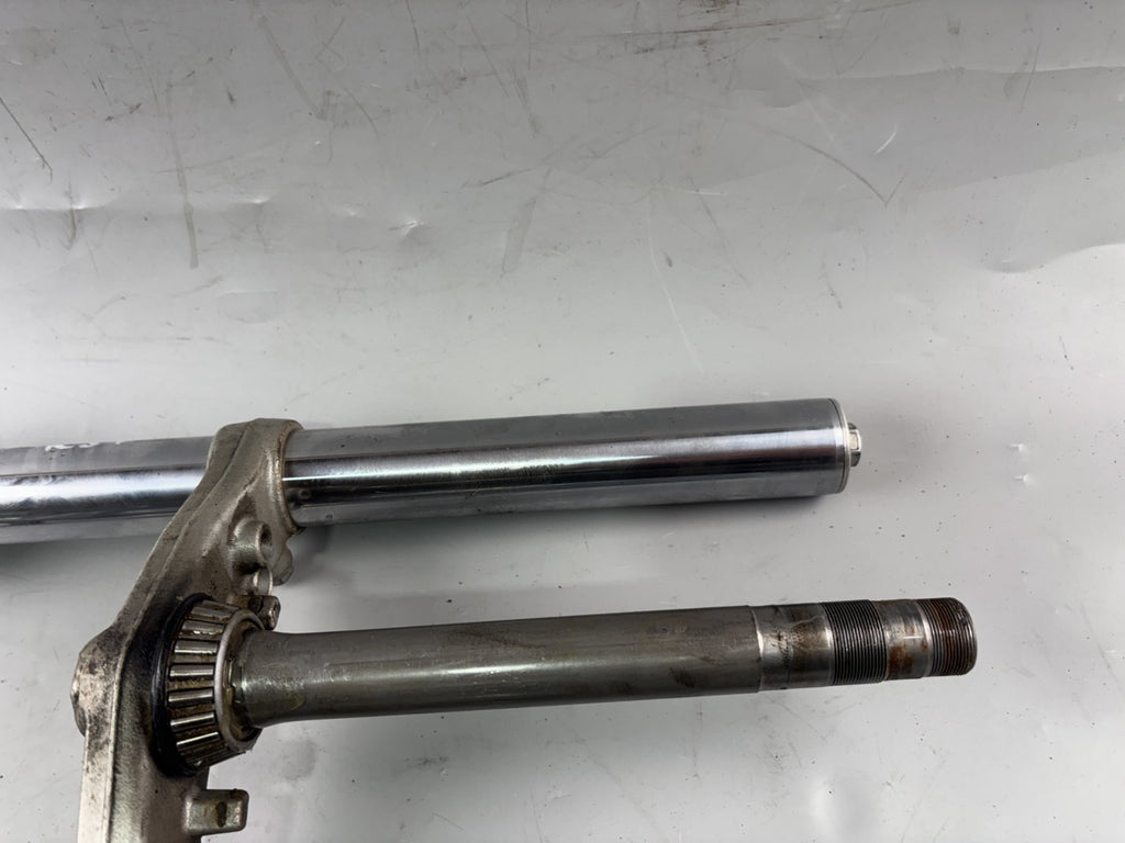 Honda CB 600 F Hornet PC34 Gabel Standrohr Tauchrohr Fork Absorber Shoks
