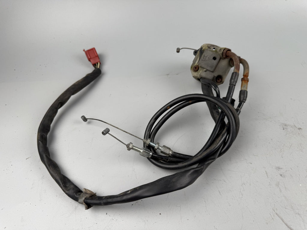 Honda CBR 600 F PC19 Lenkerschalter rechts right Handlebar Switch
