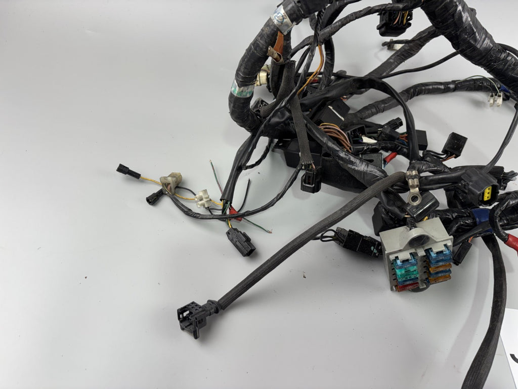 Triumph Daytona 955i T595 N 2002 Kabelbaum Stecker Cable Electric
