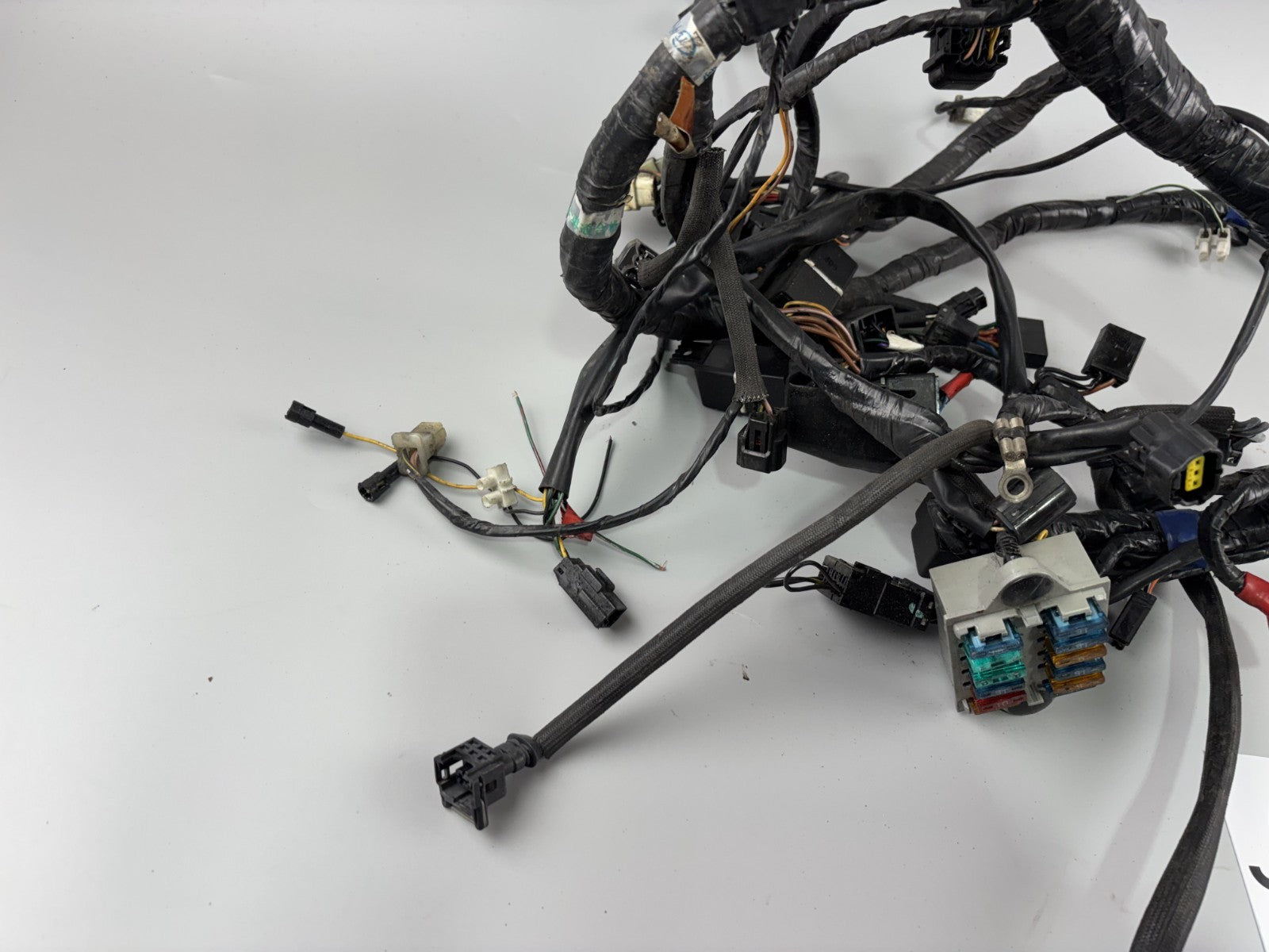 Triumph Daytona 955i T595 N 2002 Kabelbaum Stecker Cable Electric