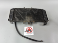 Yamaha FZS600 Fazer RJ02 Wasserkühler Watercooler Kühlung Cooler