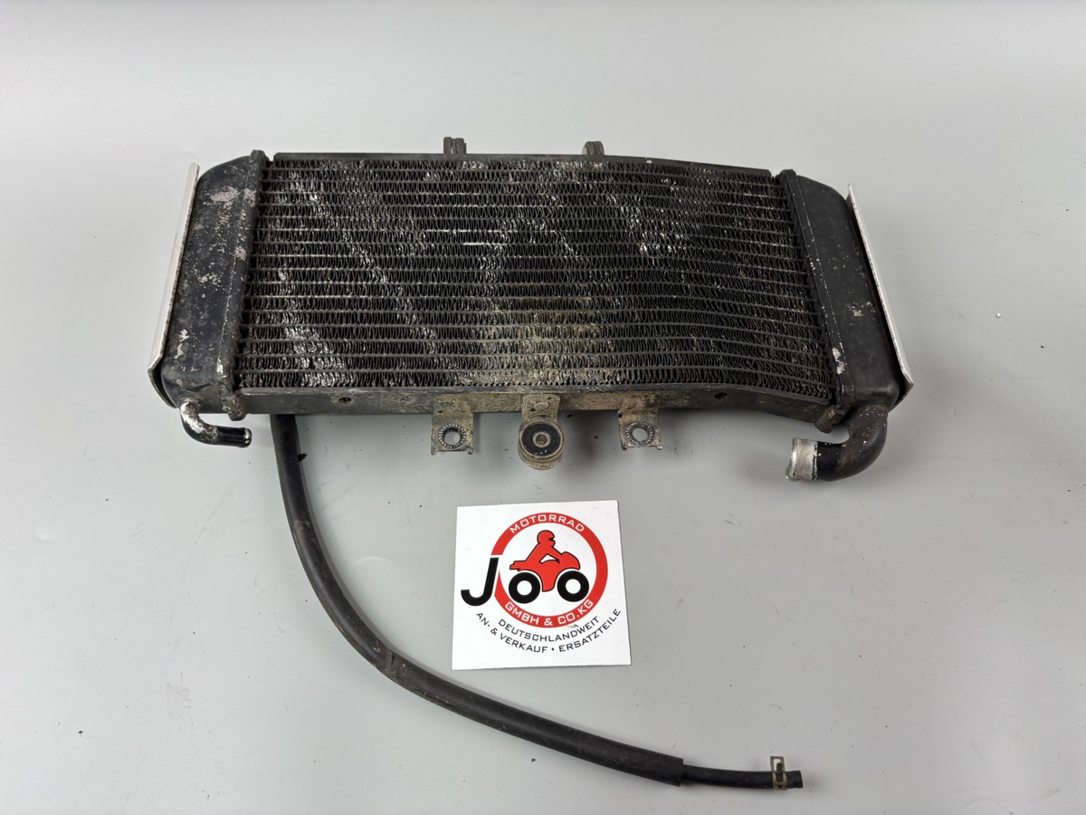 Yamaha FZS600 Fazer RJ02 Wasserkühler Watercooler Kühlung Cooler
