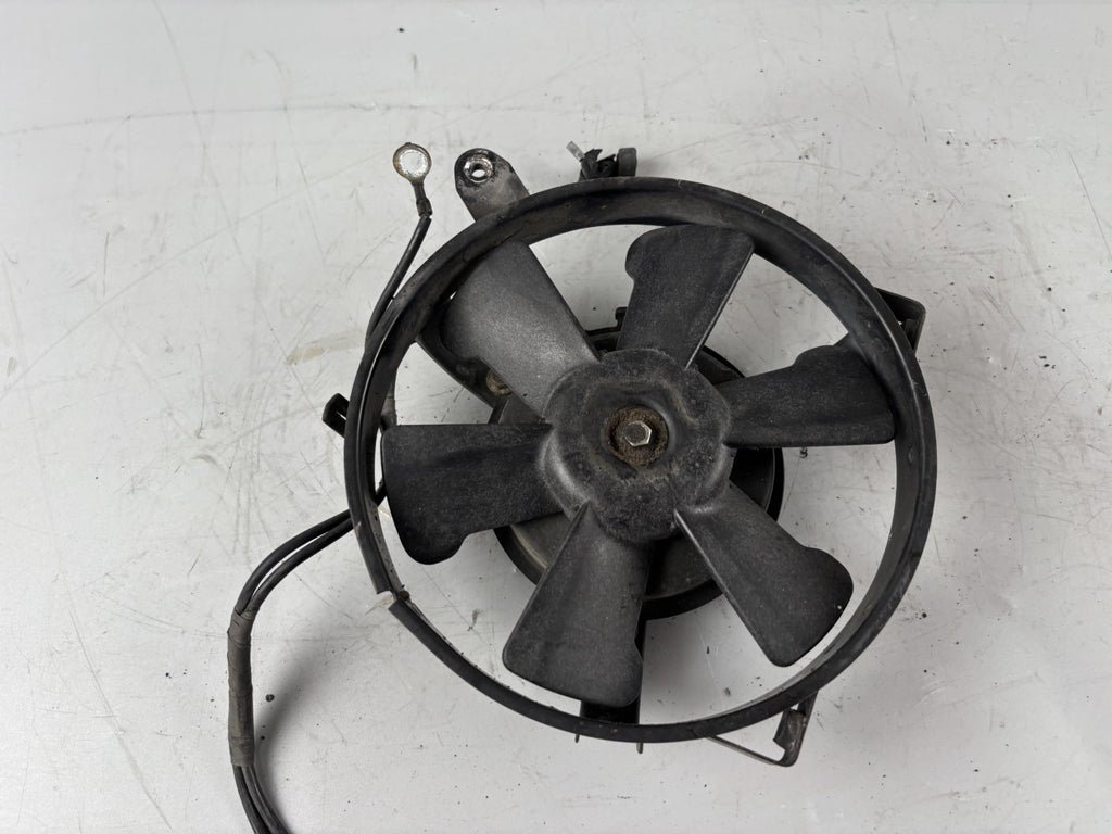 Honda Transalp XL 600 V PD06 Wasserkühler Watercooler Lüfter lüftung Ventilator