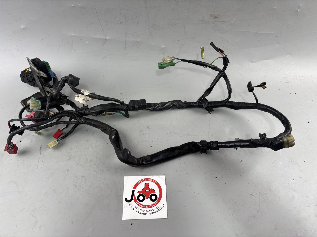 Honda SLR 650 Vigor FX 650 RD09 Kabelbaum Kabelstrang Electric Stecker
