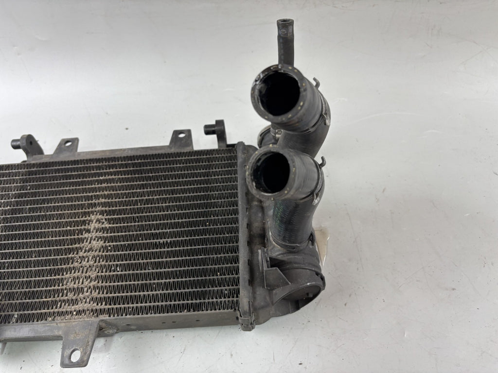 BMW F800 S Wasserkühler Watercooler Liquid Engine Motor Kühlung